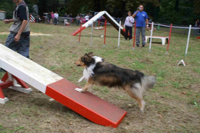 foire-haricots 2011-09-17et18